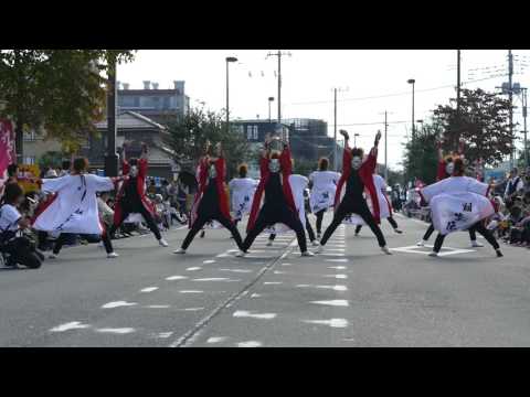 翔笑伝・ 2016つるせよさこい・第③演舞場