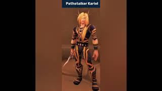 Preserving Warcraft Afrasiabi