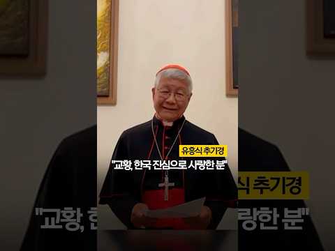 유흥식 추기경 &amp;quot;교황, 한국 진심으로 사랑한 분&amp;quot; #shorts