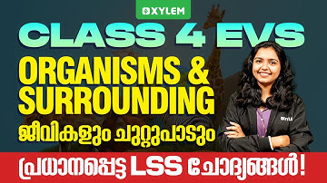 Class 4 EVS | Organisms And Surroundings - പ്രധാനപ്പെട്ട LSS ചോദ്യങ്ങൾ ! | Xylem Class 4