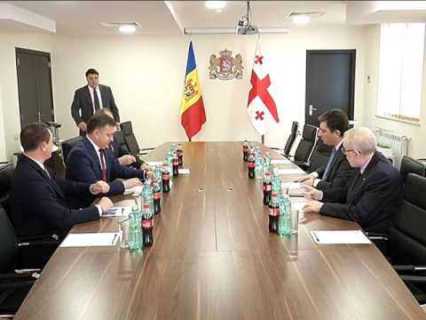 გიორგი გახარია ვასილე ბიტკას შეხვდა