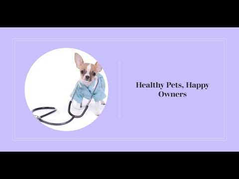 Pethealth screen in pet care app using react native