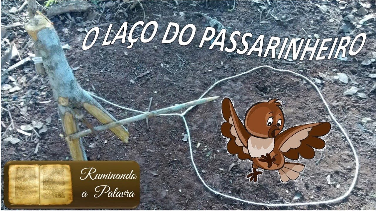 O Laço do Passarinheiro - YouTube