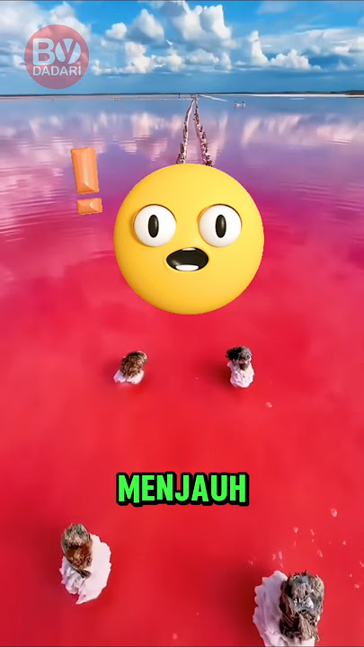 GET AWAY IMMEDIATELY 💥 If the AircLaut is Red 😱 #shorts #short #uniquefacts #interestingfacts