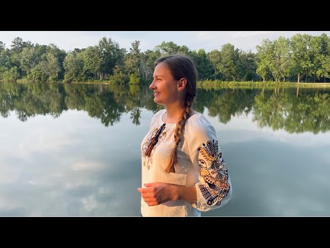 Я піду в далекі гори - Ірина Марчак #івасюк #володимирівасюк #україна #violincover #ukraine