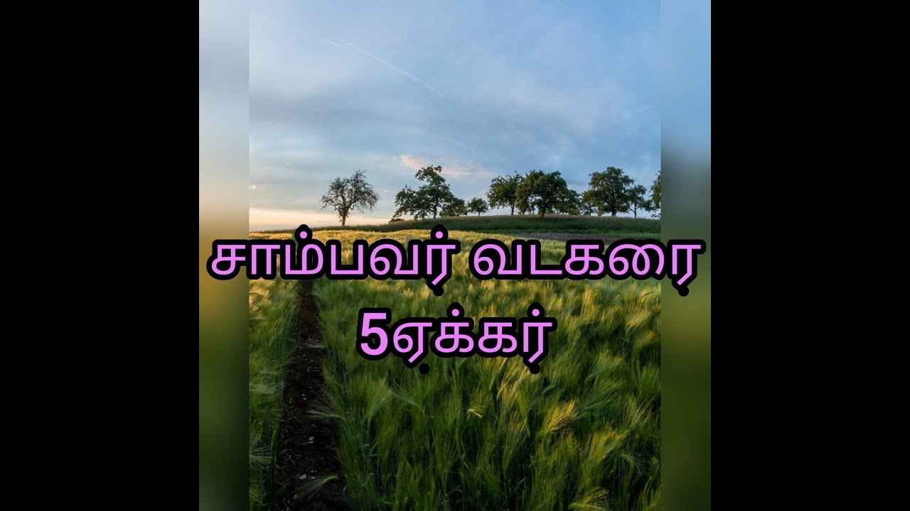 No 31 * Agricultural land for sale * sambavar vadakarai ( 5 acres