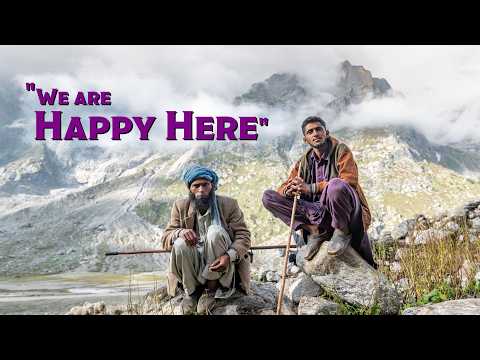 How Bakarwal Shepherds Live their Nomadic Lives in the Himalayas - video from Bikat Adventures