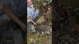 Live Stream Gold Prospecting... Does Joe Lose His Finger To The Flesh Eating Amoeba?