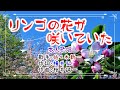 💖歌:佐々木新一🎵「リンゴの花が咲いていた」🍀(本人歌唱)🔴HD 1080p60