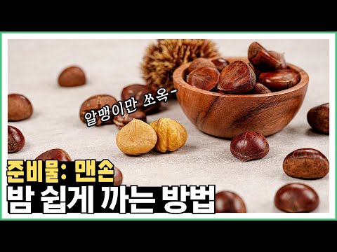 쉽게 밤까는 <strong>법</strong> 알려드려요! | <strong>Know</strong>-How