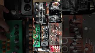 Ambient synth loops with the Pocket Piano synths #ambientmusic #synth #electronicmusic