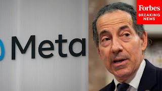 Raskin Calls For Stronger Privacy Laws Amid 'Alarming Coziness Between Government And Big Tech'