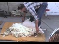 Amazing Master Sheep Shearing Demonstration