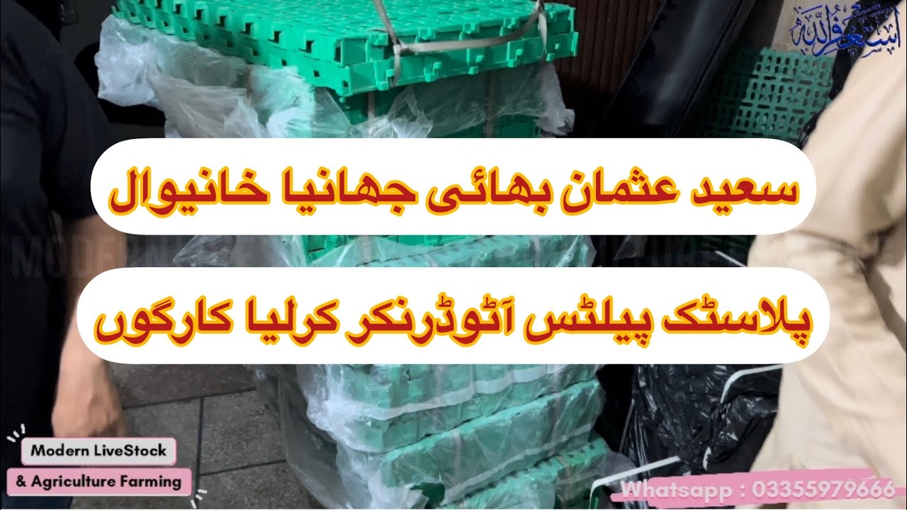 Khanewal Cargo Plastic Pellets Flooring for Goats | Modern Goat Farming |خانیوال پلاسٹک پیلٹس