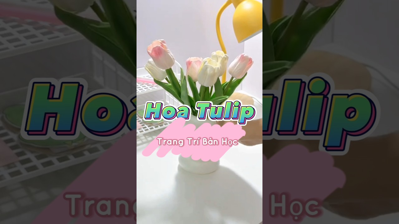 Review hoa tulip trang trí bàn học (mua trong mô tả) - youtube