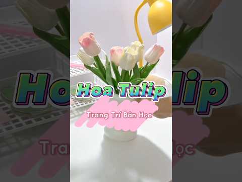 Video Review hoa tulip trang trí bàn học (mua trong mô tả) - youtube