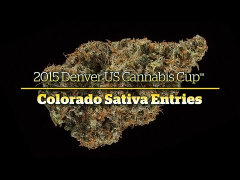 2015 Denver Cannabis Cup: Colorado Sativa Entries