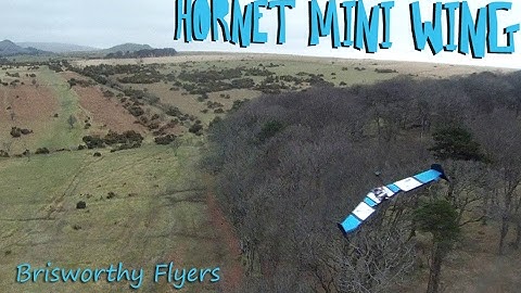 Hornet Mini Race Wing - Brisworthy Flyers