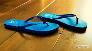 Snow Flew On My Flip Flop