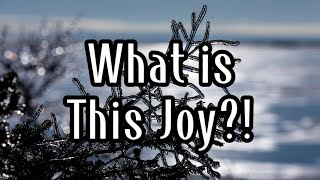 What is This Joy?! ft. Garon Brett &amp; Ashley Hess | Lyrics
