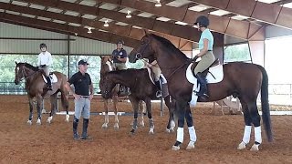 Riding and Auditing Workshops with Horsemaster Bernie Traurig