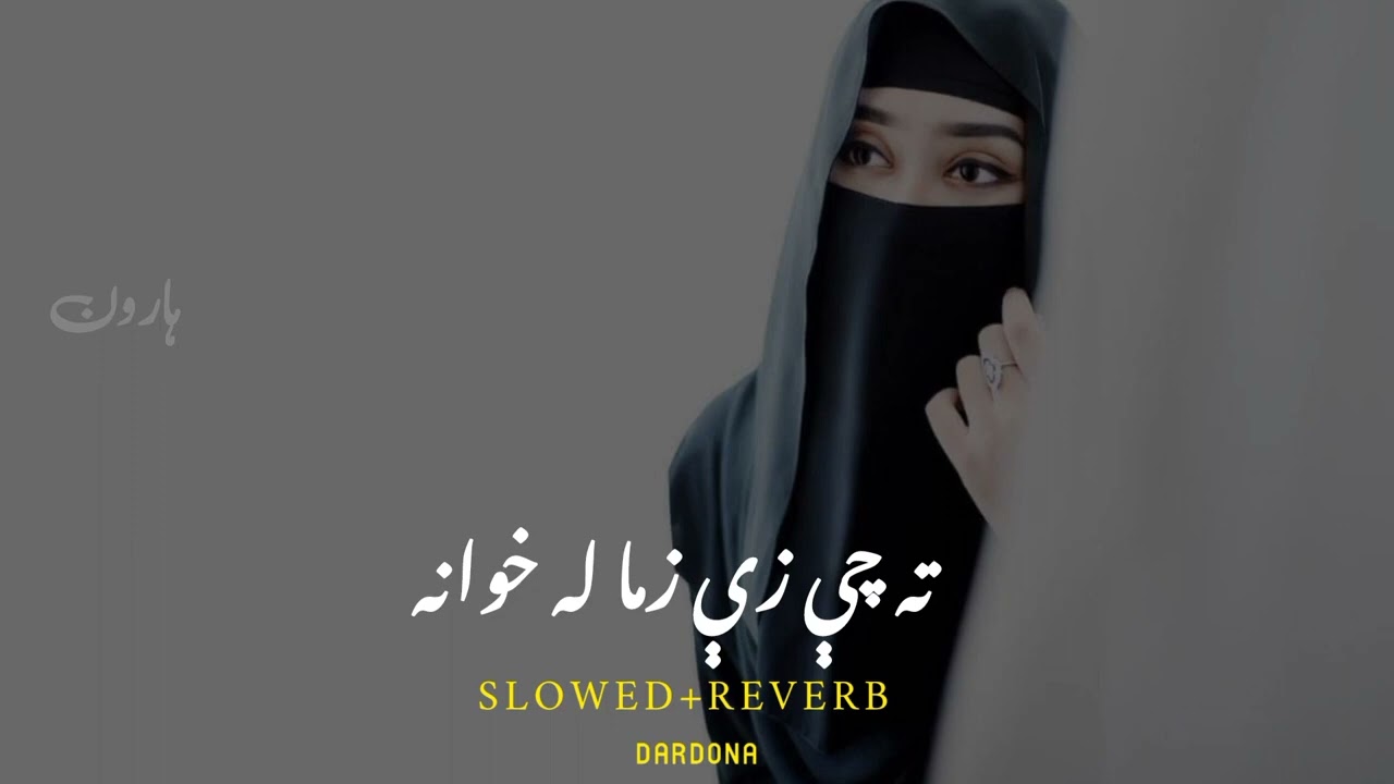 TE CHE ZE ZAMA LA KHWANA MUHABAT DE RATA PREDA TIKTOK VIRAL SONG 2023 | | T-Series Haseeb! | |