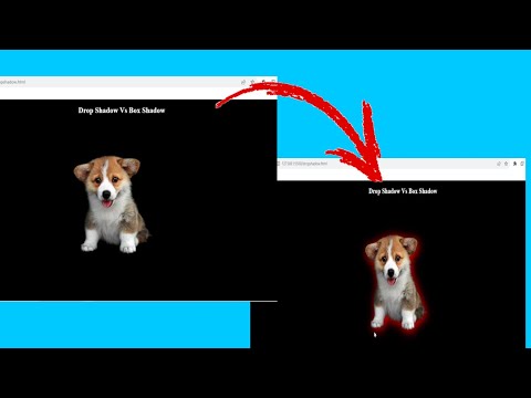 Drop Shadow and Box Shadow in CSS #boxshadow #htmltutorial #coding #css3