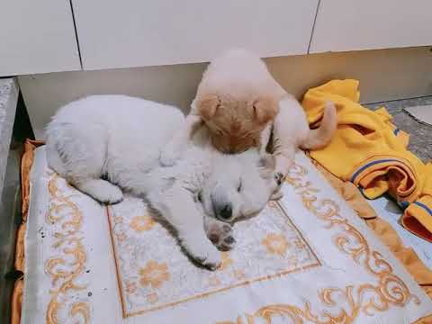 야.. 일어나😑 Hey.. wake up😂