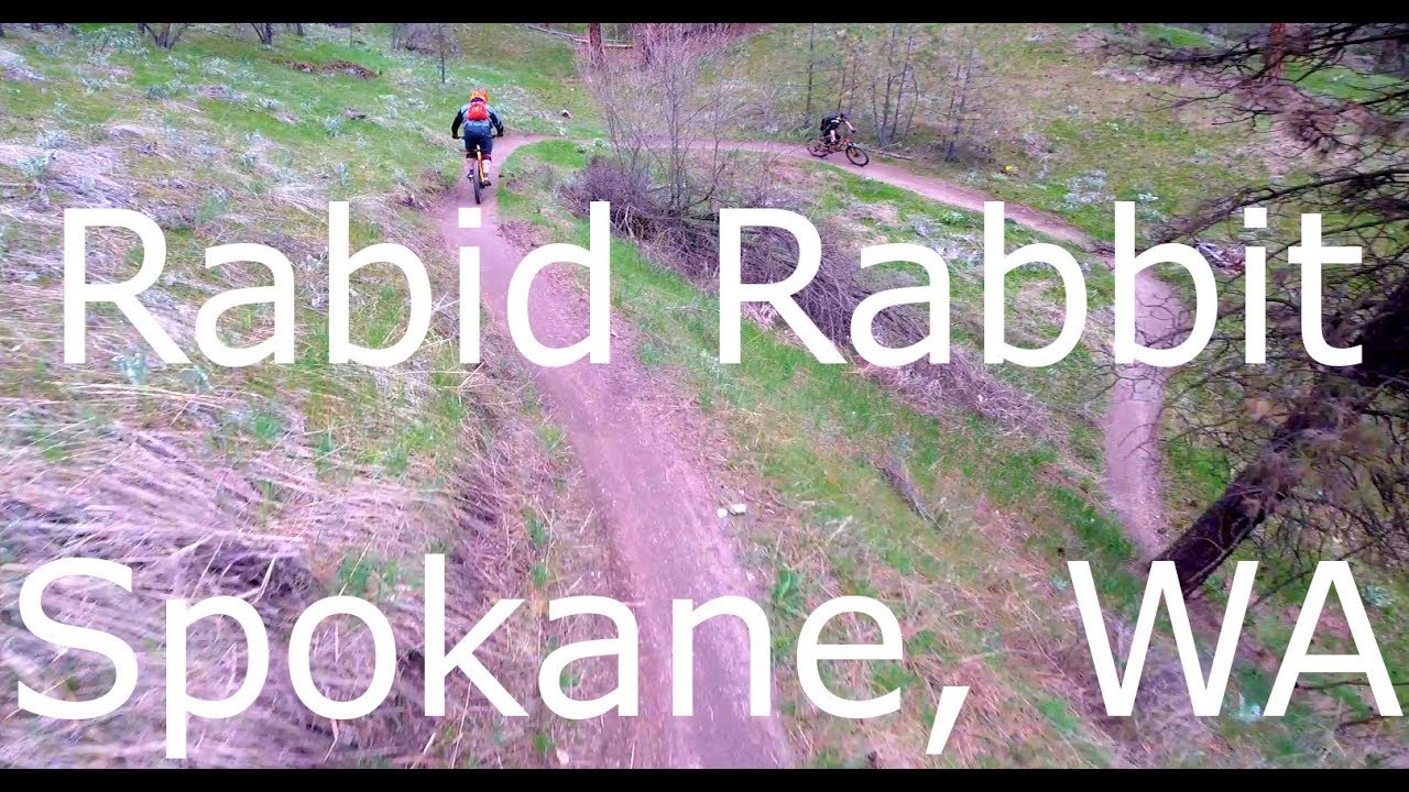 Rabid Rabbit - Spokane, WA - YouTube