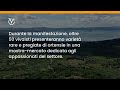 Festa delle Ortensie di Bolsena 2026: info, dove e quando