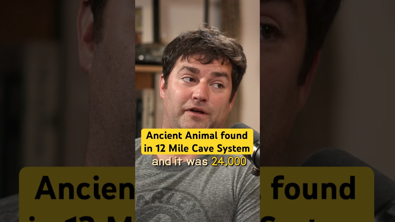Caver Finds 24,000 Year-Old Animal in 12 Mile-Deep Cave #caving #ancienthistory #wildlife #podcast