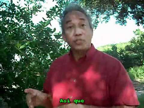 Osteoporosis_(Winston Kao)
