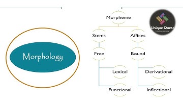 UQ! Morphology, Morpheme, Allomorphs and Morphological description|PGTRB UNIT 9 #pgtrbenglish