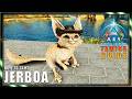 JERBOA ZÄHMEN in ARK Ascended: Die lebende Wetterstation! 🐭⛈️ Taming Guide #48