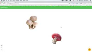 Dranimate: Browser version of dranimate