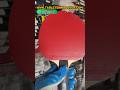 🏓 Tibhar Carbon Shot + Mark V 🔥 Classic Control &amp; Power Combo