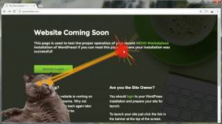 Chrome Extensions: How to Install and Uninstall Extensions with "Laser Cat" screenshot 1