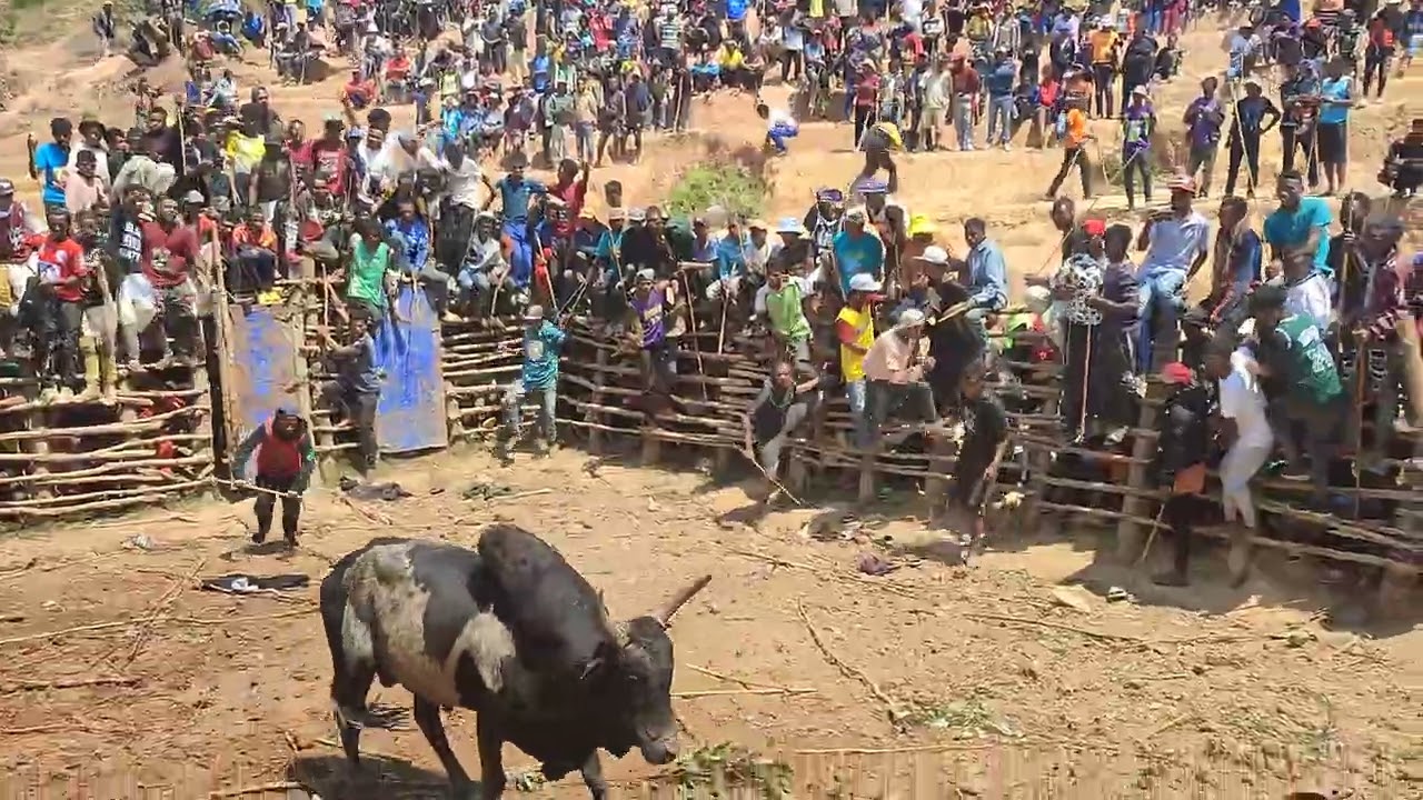 werawera savika tao Maromandraoka ny 20 septembre 2024