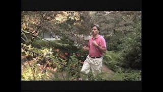 Digital TV: a Cringely Crash Course