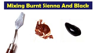 Mixing Burnt Sienna And Black - What Color Make Burnt Sienna And Black - Mix Acrylic Color