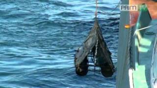 Пираты потоплены в море у берегов Приморья