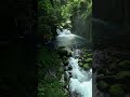 "When Rivers Dream 🌊 #waterfall #nature"