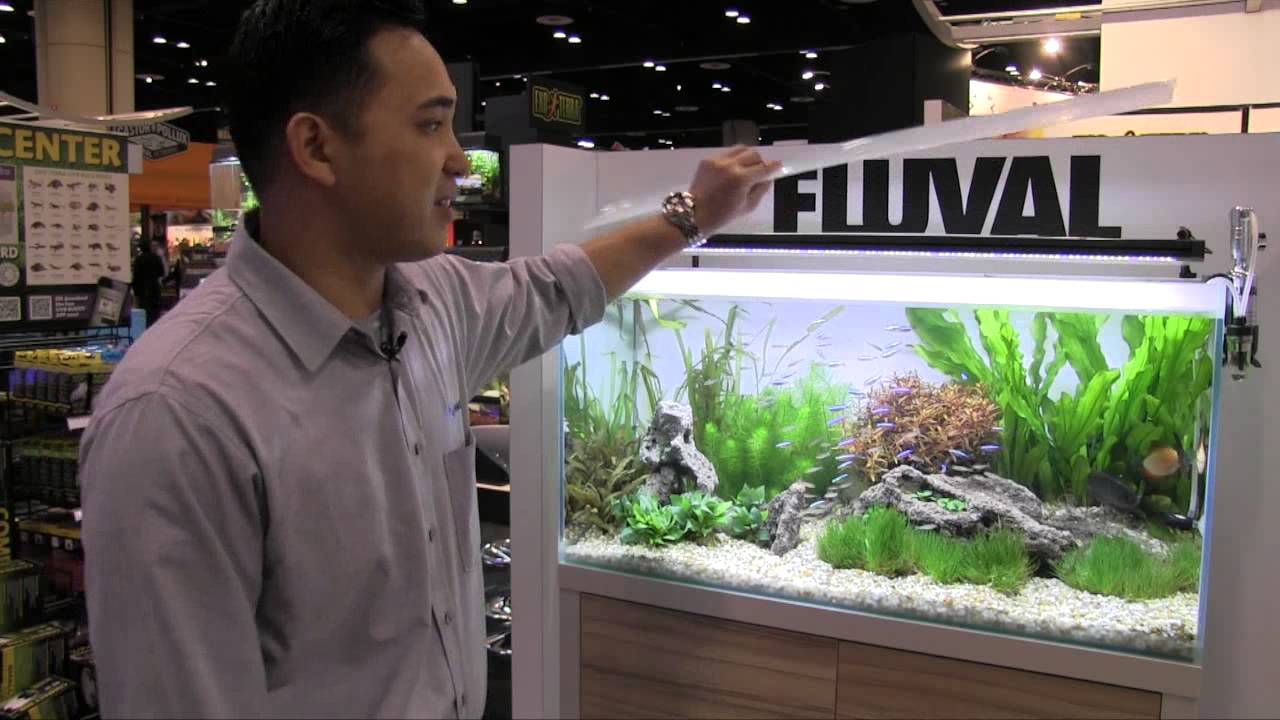 Fincasters Episode 36 Fluval Unveils Amazing Planted Aquarium