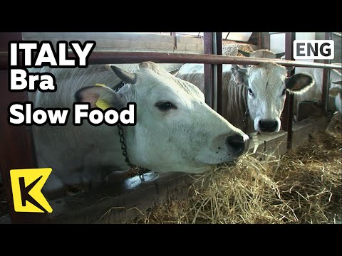 【K】Italy Travel-Bra[이탈리아 여행-브라]패스트푸드가 없는 마을, 농장체험 투어/Slow Food/Bra/Agritourism/Agriturismo