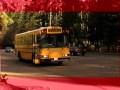 School Bus Stop Rules