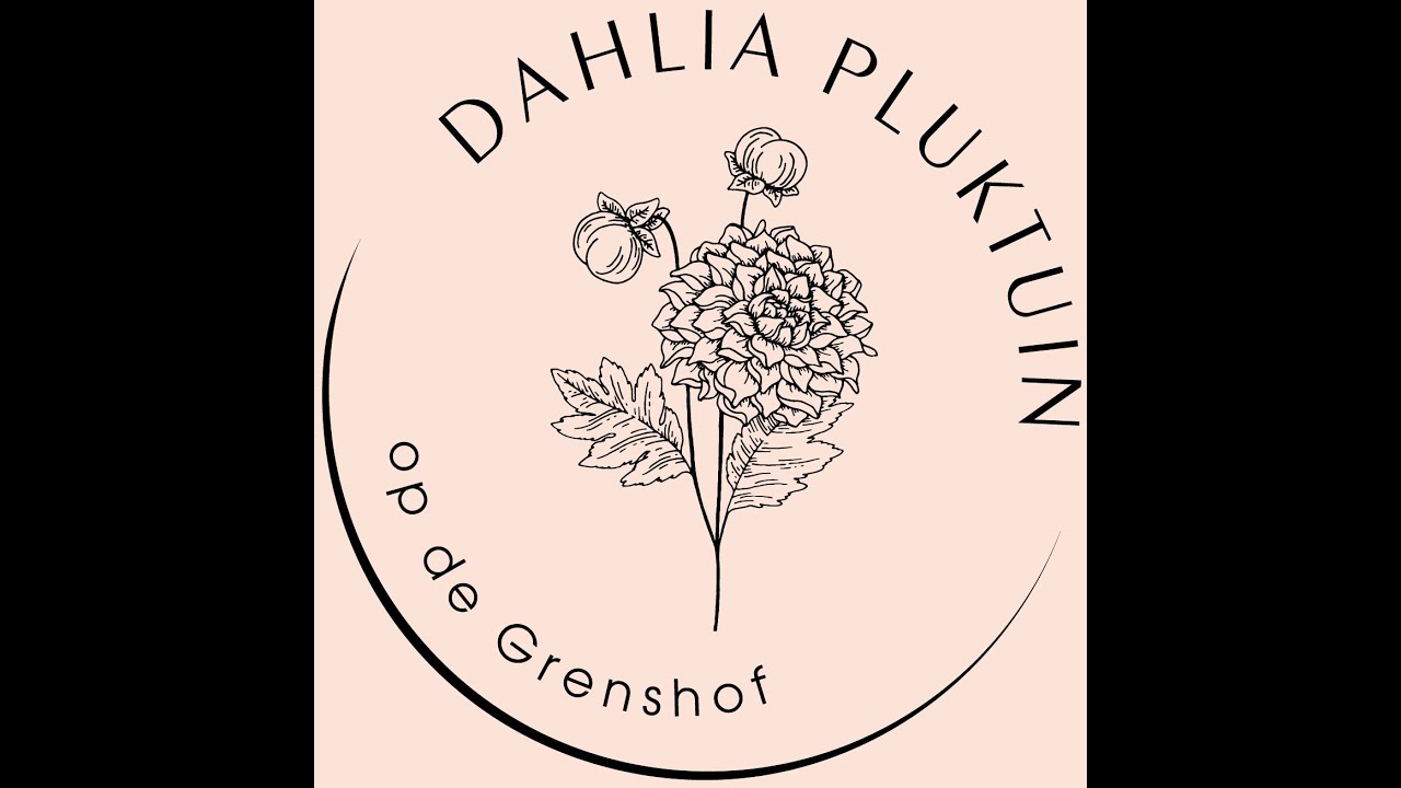 Dahlia pluktuin op de Grenshof drone video