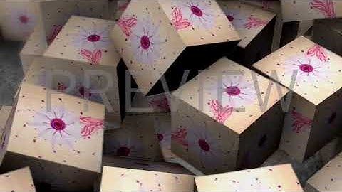 Flixpress   Create video, animation & intros online   My Account