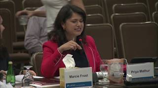 Board Offsite 5/14 - Sustainable Investment Program Vision  | July 16, 2018