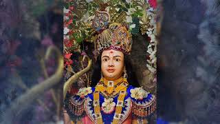 छ धामना आजना शणगार दर्शन ता.17-04-2024 ||Daily Darshan ||રામ નવમી ||સ્વામિનારાયણ ભગવાન પ્રાગટ્યોત્સવ