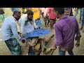 pagol asche পাগল আসচে । সাবদান সবাই আমার সাথে যুক্ত হলো